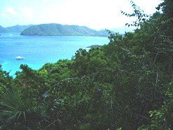 bvi from orchid villa with foliage