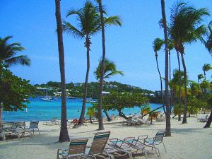 vi vacation beach scene palms chairs
